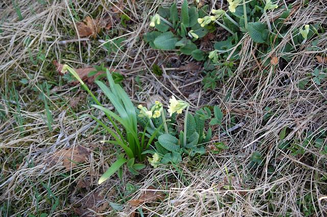 Bílá u Bílého 2009