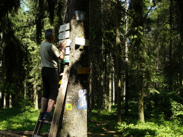 Bílení Bílého kůlu